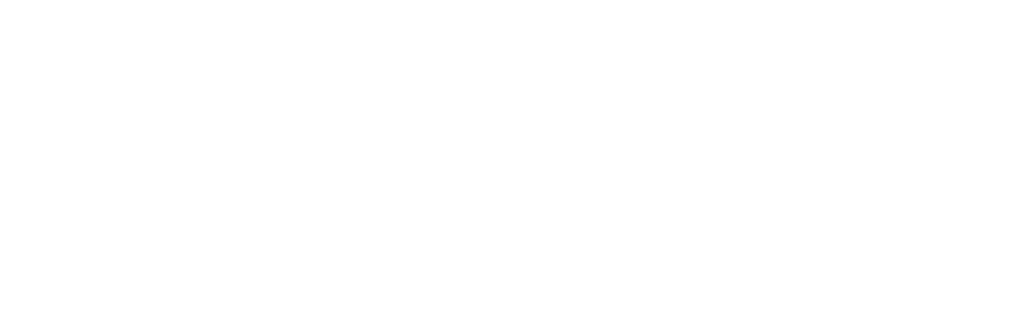 Codebold IT Solutions – Wordpress Website Agency