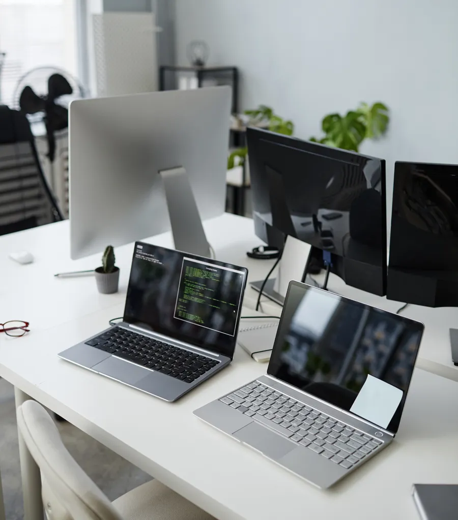 Digital Partner Section Img